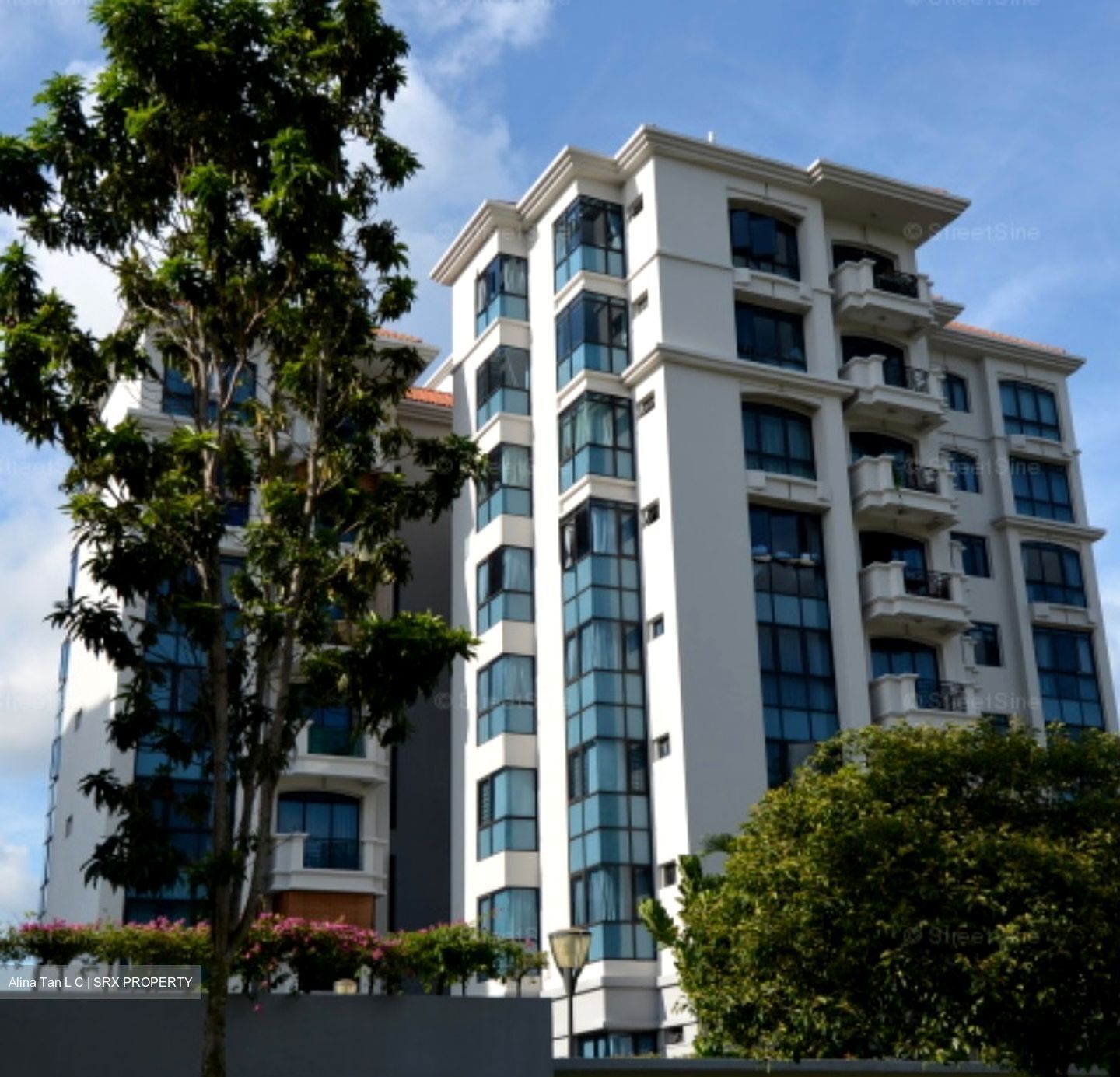 The Merasaga (D10), Condominium #575843191